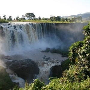 ethiopia yırgacheffe